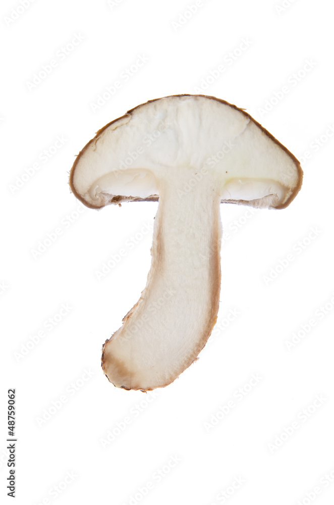 Fresh mushroom Fresh mushroom