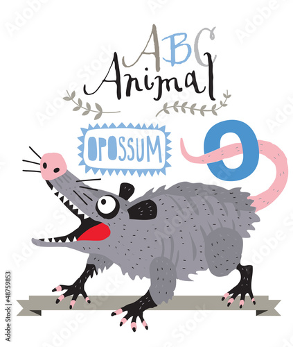 ABC animals: O is for opossum. Vector Graphics