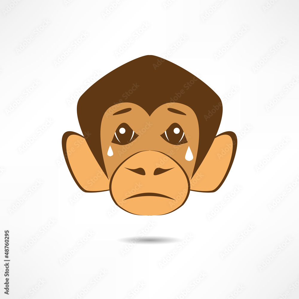 Obraz premium Crying Monkey.