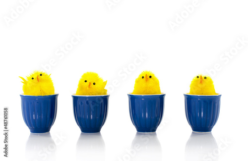 Photography easter ducks