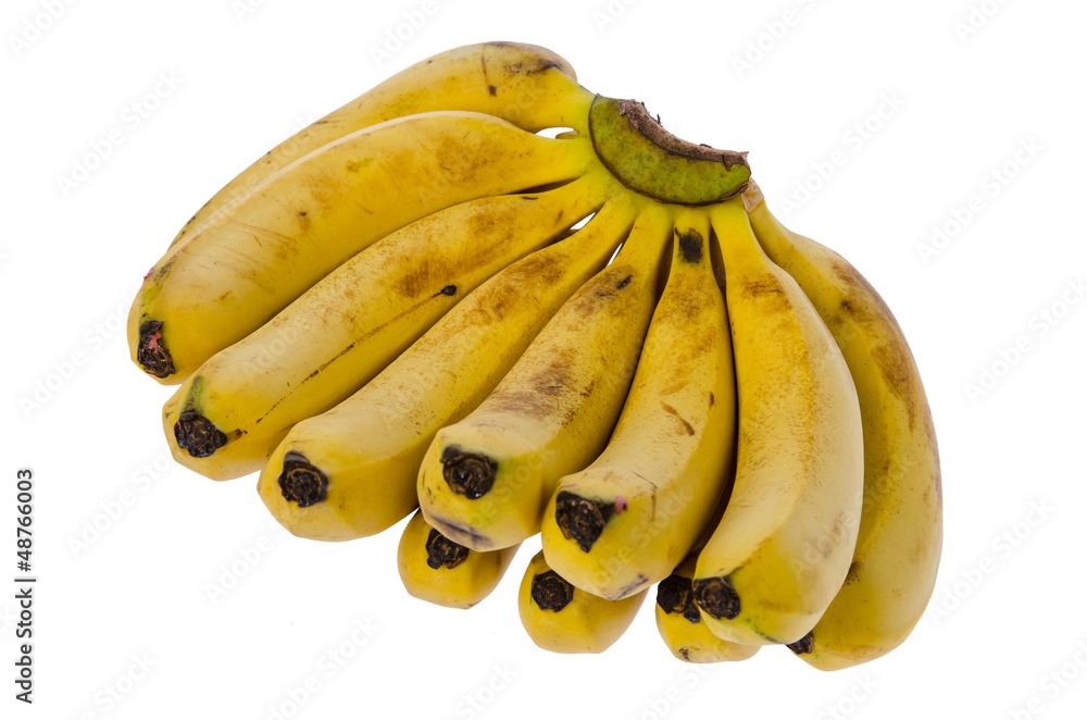 Banana Banana