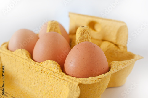 frische Eier