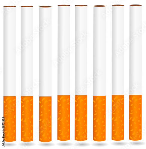 eps8 vector isolated cigarette - detailed realistic illustration