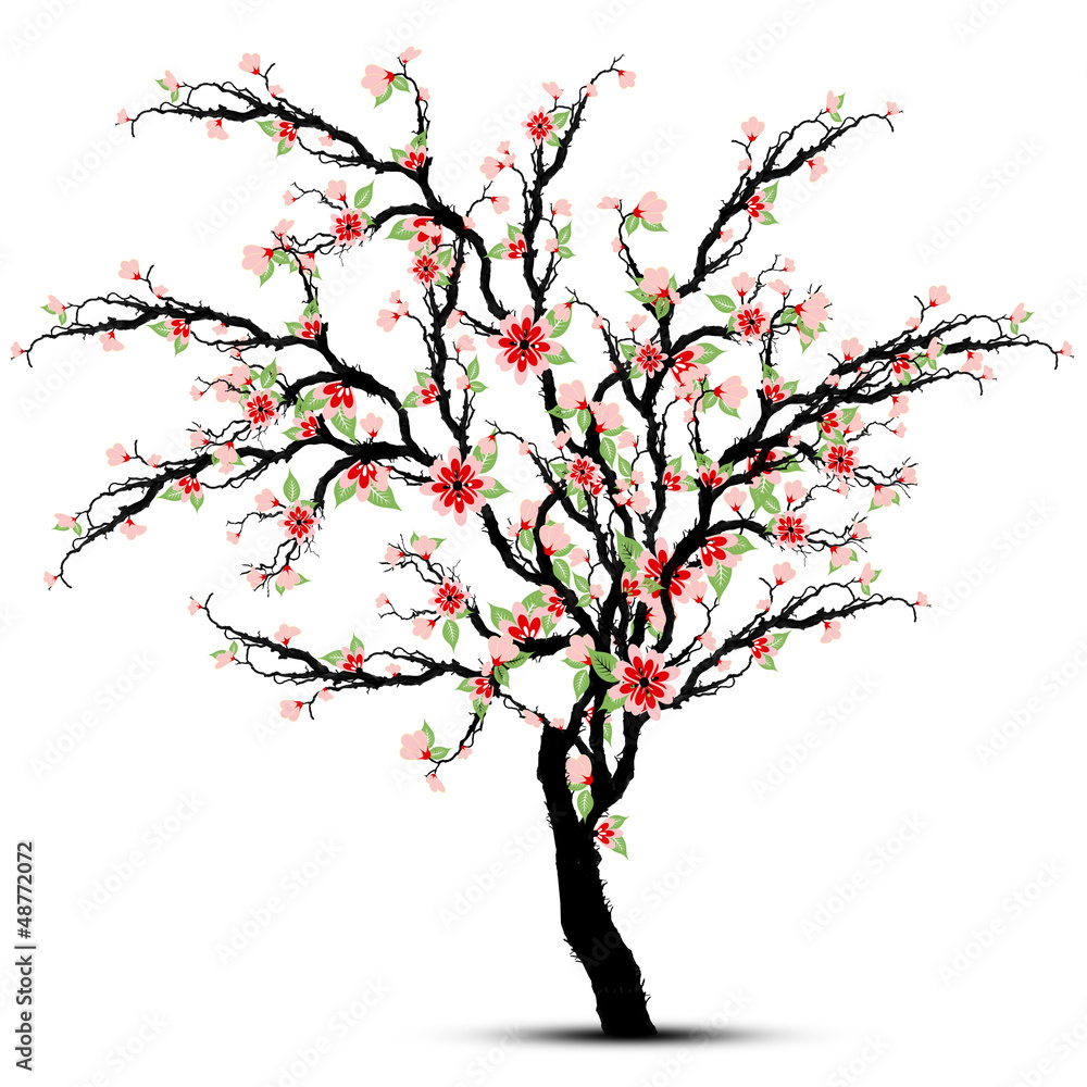 Obraz premium Cherry blossom tree on white background