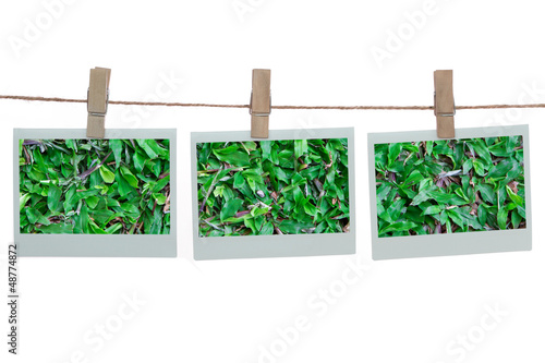 Polaroid templates with green grass