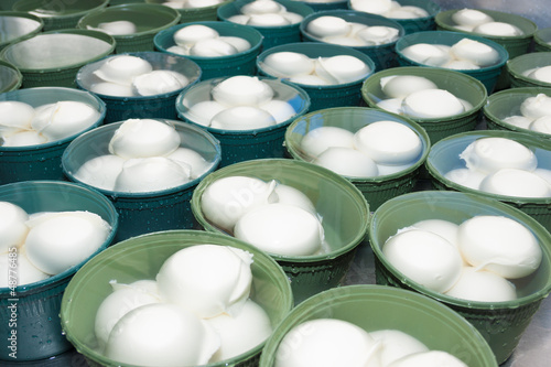 Full frame take of cheese packaging