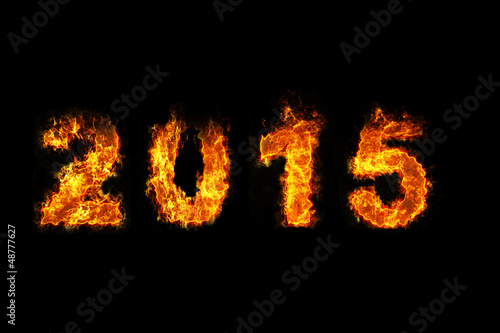 Year 2015 on fire