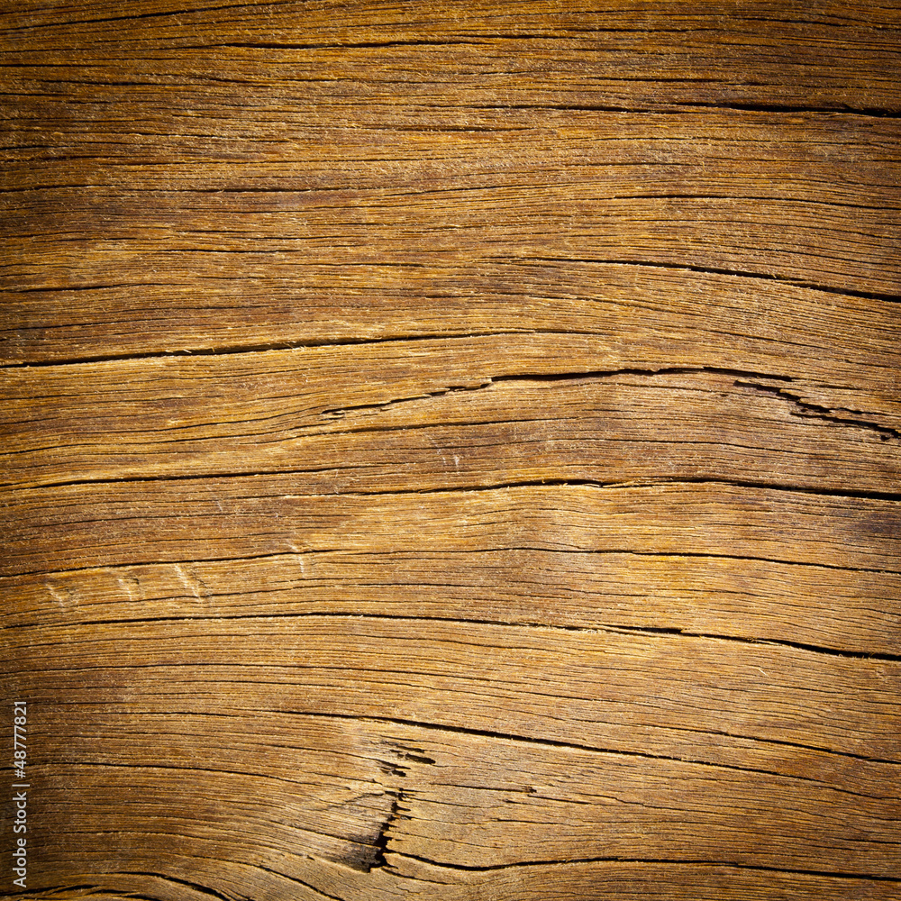 Fototapeta premium Rough Wood