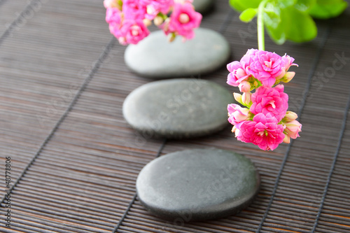 Stones path with flowers for zen spa background  horizontal. sel
