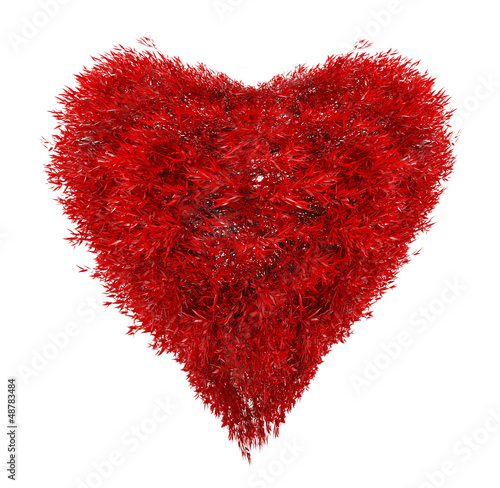 heart from red leaves isolated on white