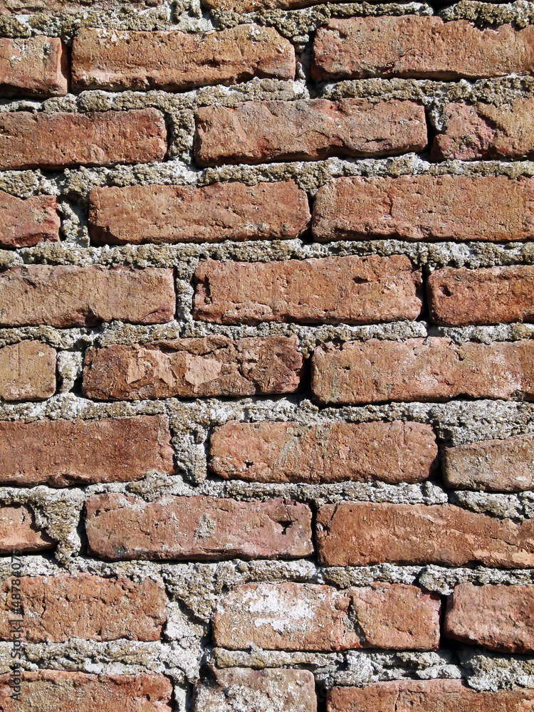 Obraz premium Background of old vintage brick wall