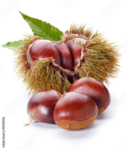chestnuts photo