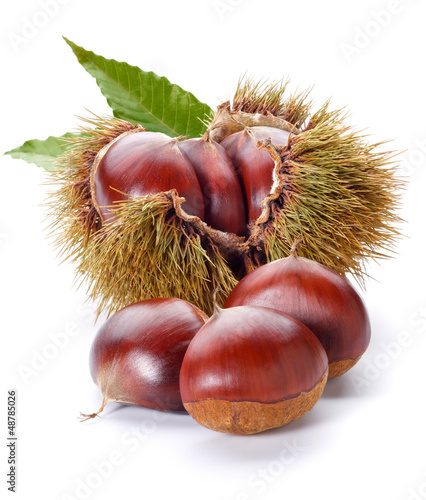 Billede på lærred chestnuts
