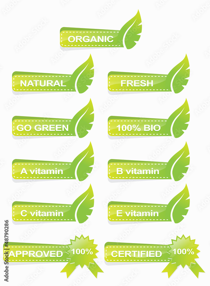 Obraz premium green web banner