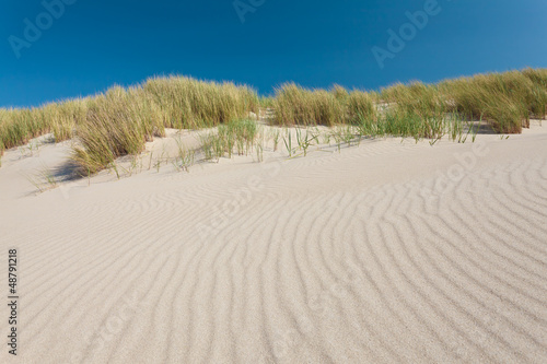 Sand dunes with grass in The Netherlands