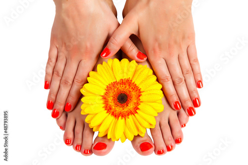 pedicure feet of a young woman