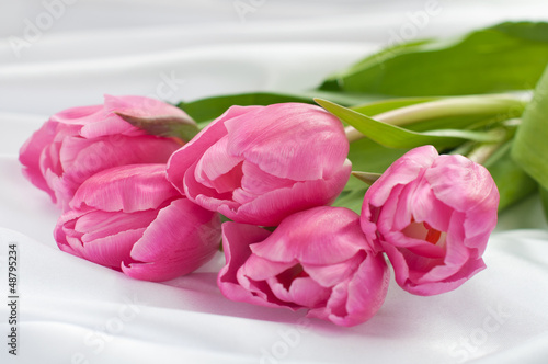 Pink tulips on white silk