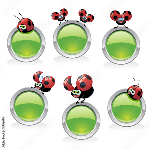 coccinelle bottoni