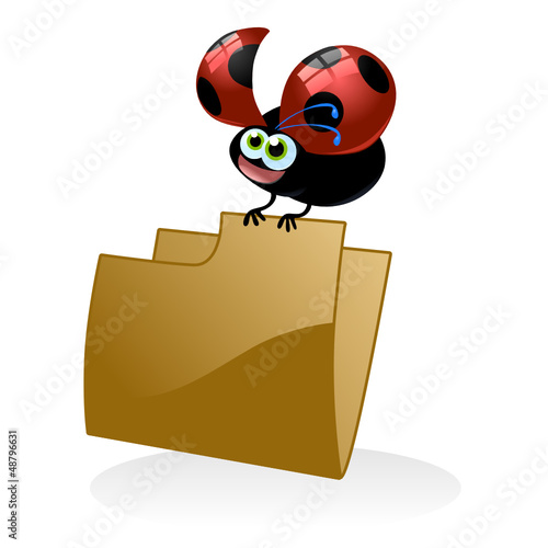 coccinella cartella