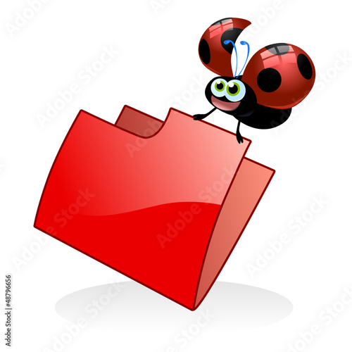 coccinella cartella