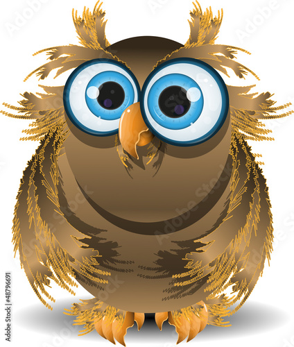 Fotografia goggle-eyed wise owl