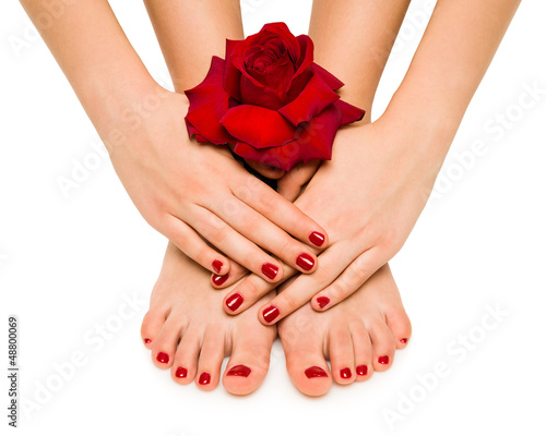 manicure and pedicure shows girl with rose