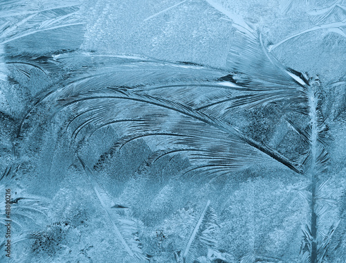Fotografi Frosty pattern on pane