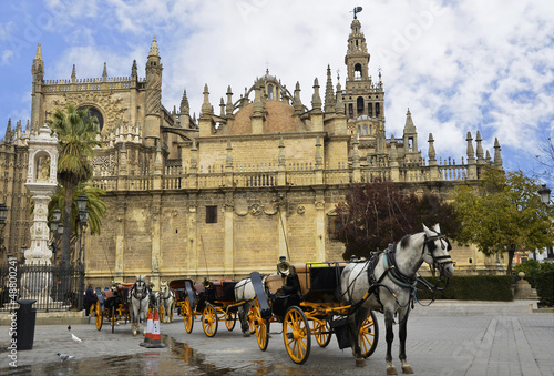 Typical image with horse carriages and the Cathedral of Seville