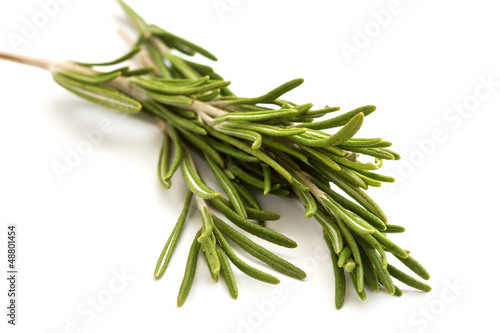 Fresh organic rosemary isolated on white