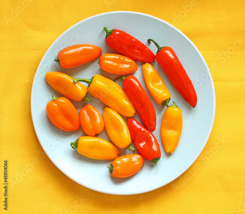 Bright, fresh pepper on the blue plate