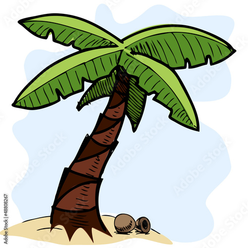 Tropical palm tree colorful sketch illustration