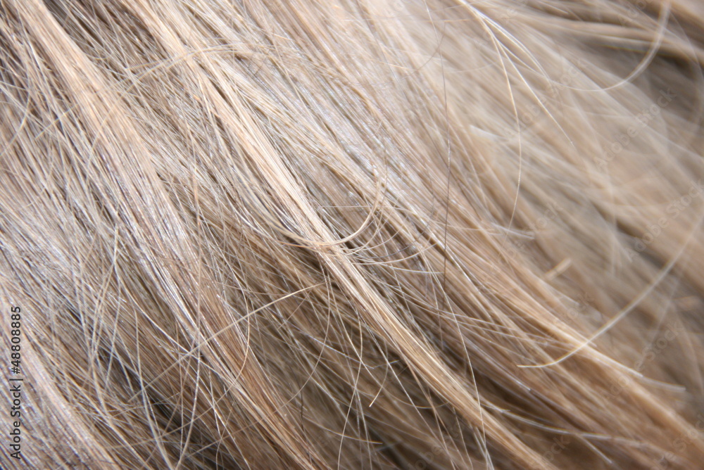 Fototapeta premium Blond hair
