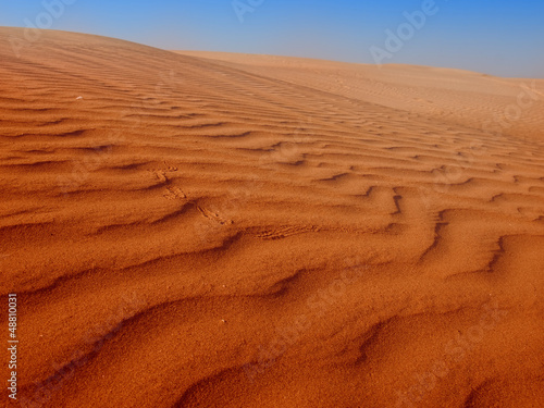 sahara sand desert