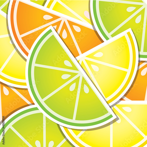 Citrus wedge background/card in vector format.