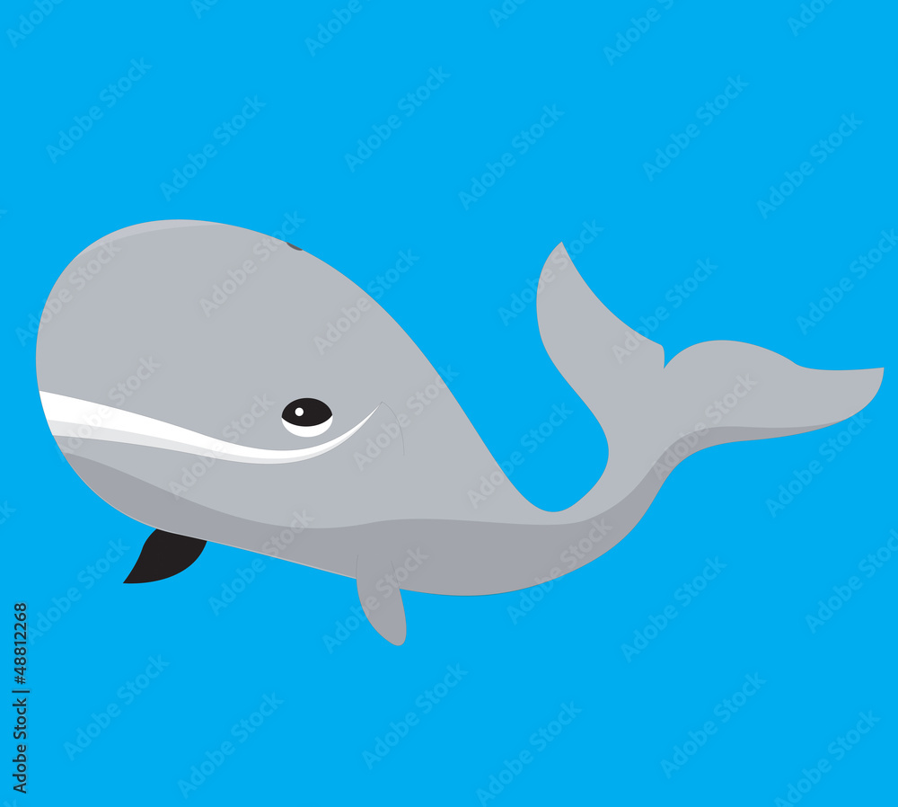 A vector illustration of a grey cartoon whale on blue background A vector illustration of a grey cartoon whale on blue background