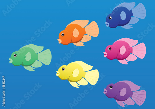 A vector image of jellybean (or parrot) cichlid fish in bright c