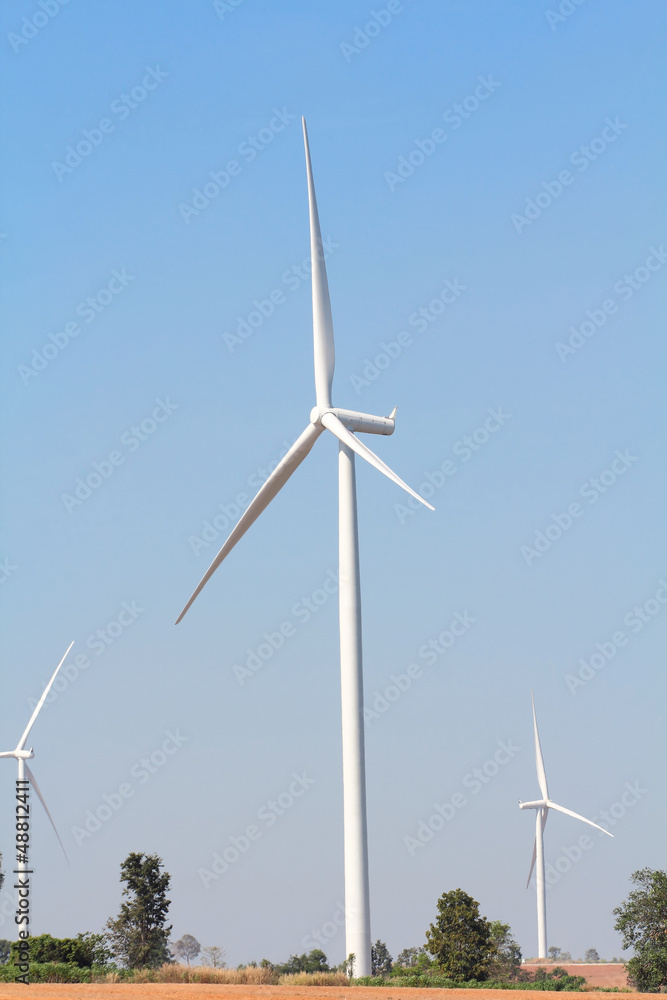 Fototapeta premium Wind turbines generating electricity