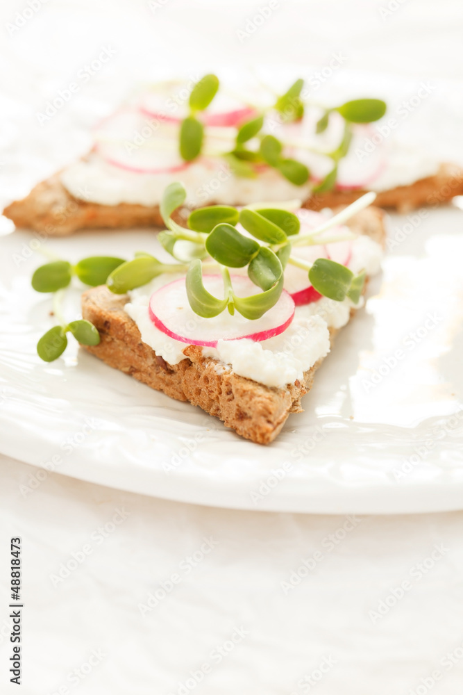 sandwiches with radish and sunflower sprouts