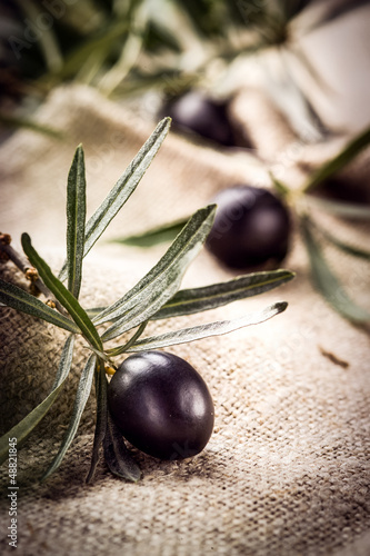 Obraz na plátně Black olive with leaves. Organic food
