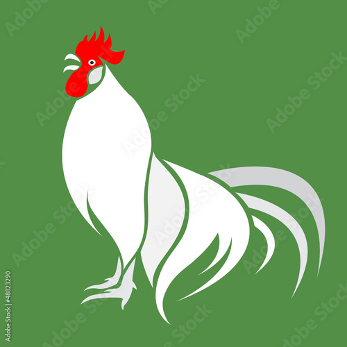 Vector image of an cock on green background