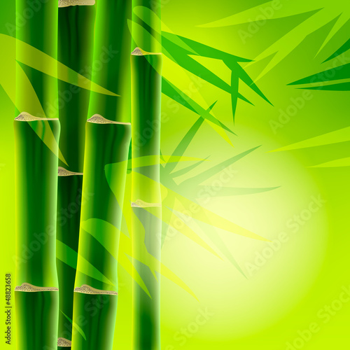 Bamboo background with copy space