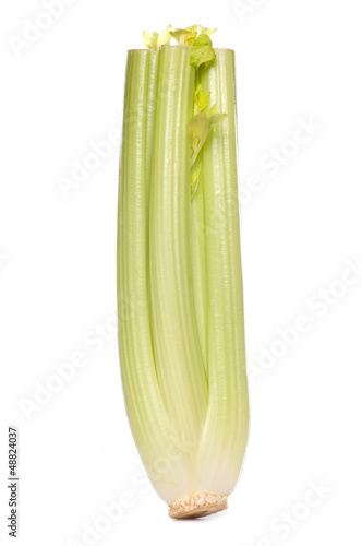 celery cutout