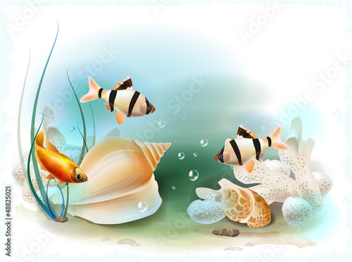 illustration of the tropical underwater world