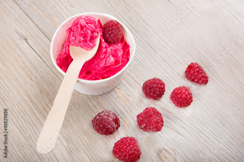 Frozen creamy ice yoghurt  with whole raspberries photo