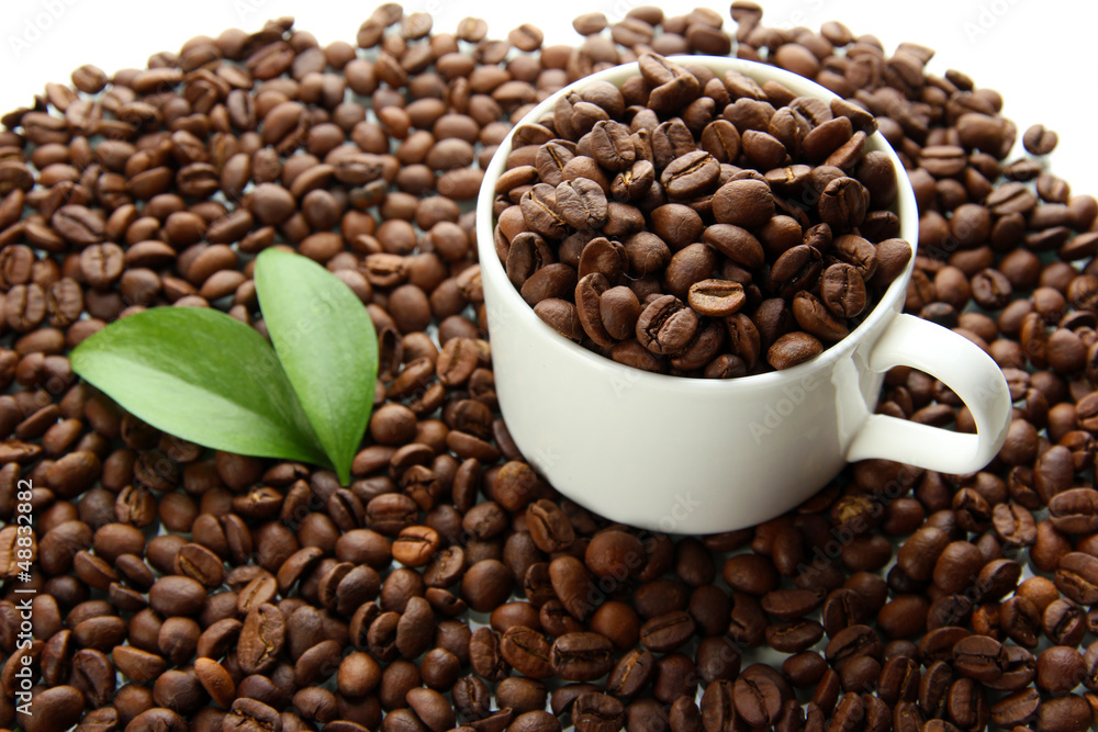 Coffee beans with leaves close-up Coffee beans with leaves close-up