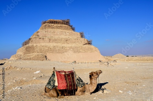 Camel with the step pyramid of Djoser in Saqqara