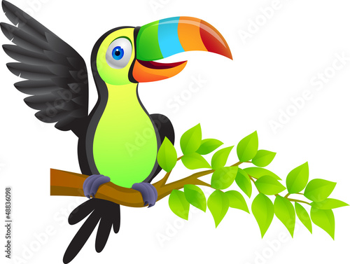 Toucan bird cartoon