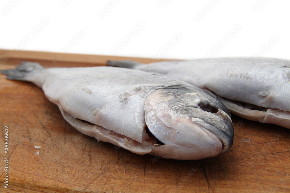poissons poissons
