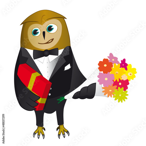 Owl in tuxedo