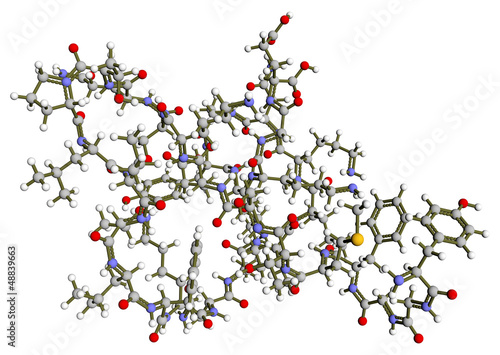 Beta-endorphin molecular structure
